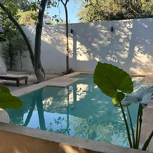 https://apartments-mi-amado-chemby-centro-alberca-equipped-new-gardens.hotelsmerida.org