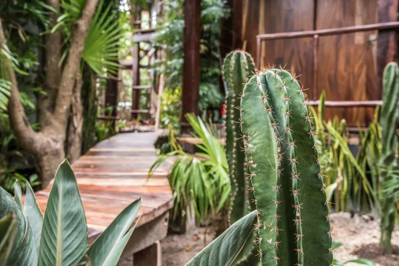 Origen Tulum Hotel Mexico
